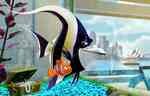 Immagine Thumb: Alla ricerca di Nemo