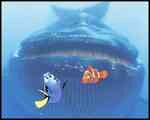 Immagine Thumb: Alla ricerca di Nemo