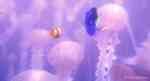 Immagine Thumb: Alla ricerca di Nemo