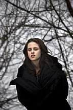 Immagine Thumb: Twilight