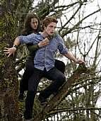 Immagine Thumb: Twilight