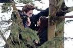Immagine Thumb: Twilight