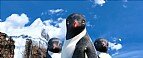 Immagine Thumb: Happy Feet 2