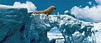 Immagine Thumb: Happy Feet 2