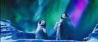 Immagine Thumb: Happy Feet 2