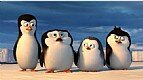 Immagine Thumb: I pinguini di Madagascar