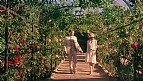 Immagine Thumb: Magic in the Moonlight