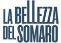La bellezza del somaro