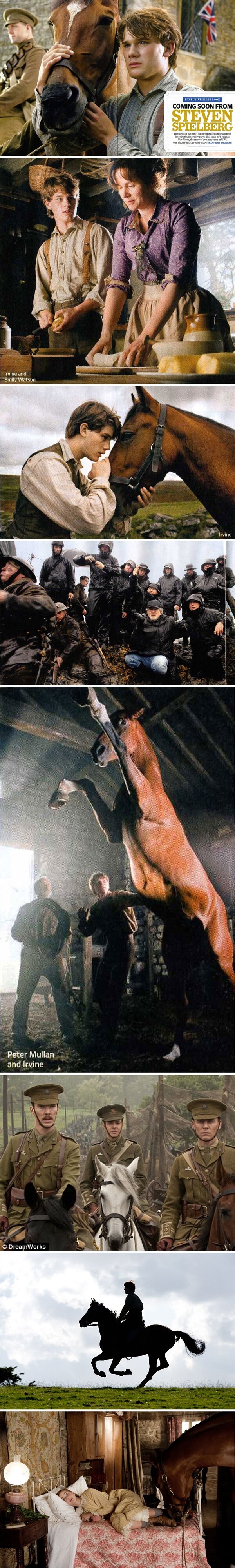 le_prime_immagini_di_war_horse