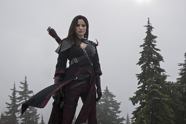 arrow (8)