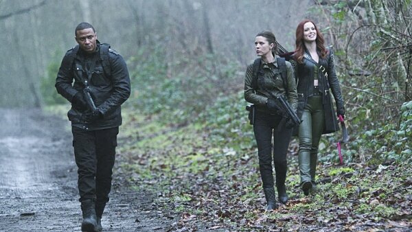 arrow_nuove_immagini (1)